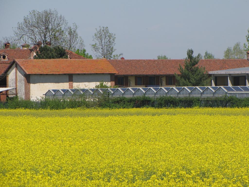 Al Casale B&B Cherasco Exterior photo